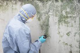 Best Airborne Mold Testing  in Brookfield, WI